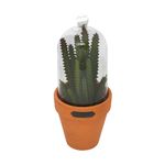 VASO-DE-CERAMICA-CANDELABRA-CACTUS-COM-REDOMA-DE-VIDRO