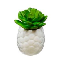 Mini Vaso De Porcelana Branco C/ Suculenta Hives Betty
