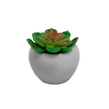 Mini Vaso De Concreto Com Suculenta Carnicolor