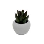 MINI-VASO-DE-CONCRETO-COM-SUCULENTA-LUCIDIUM