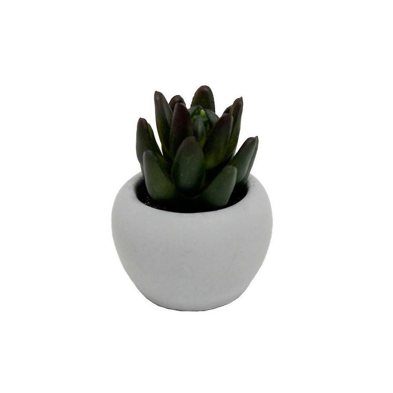 MINI-VASO-DE-CONCRETO-COM-SUCULENTA-LUCIDIUM