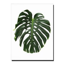 TELA EM MADEIRA DE FOLHA COSTELA DE ADÃO 30X40X1,5CM