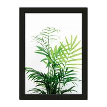 Quadro Folhagem Verde 24x33cm Moldura Preta Los Quadros