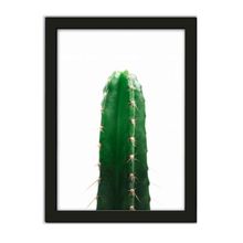 Quadro Folhagem Verde Cacto 24x33cm Moldura Preta Los Quadros