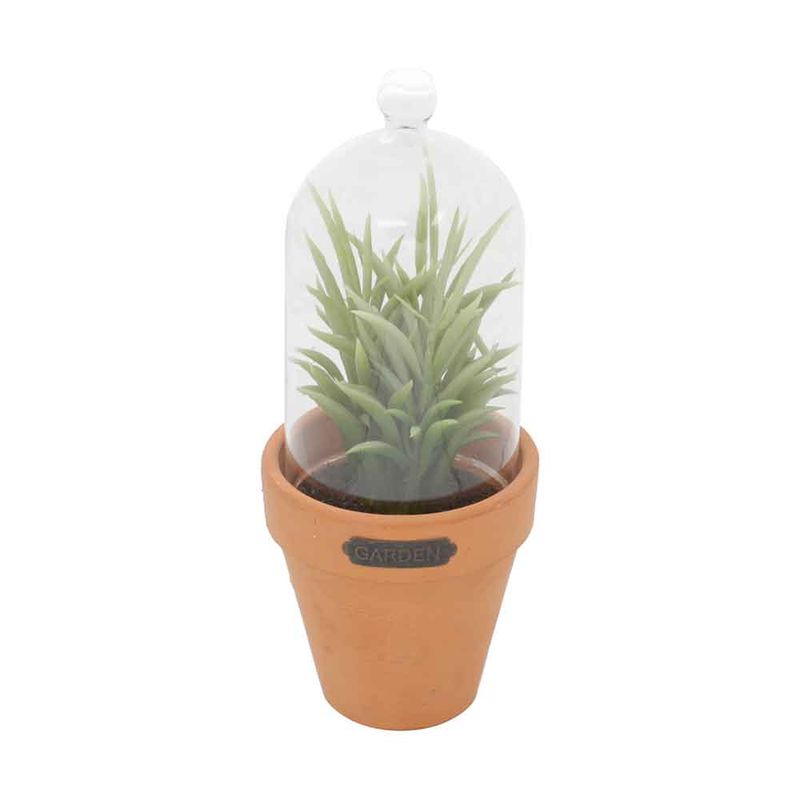 Vaso-Com-Tampa-De-Vidro-Yucca-SucullentUrban-89X22cm-Verde-e-Laranja