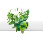Argola-De-Guardanapo-Juliet-Petit-Folha-De-Eucalipto