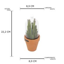 Vaso Decorativo Candelabra Cactus Com Redoma De Vidro