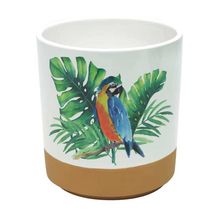 Vaso De Cerâmica Decorativo Parrot Colorido 12x13cm
