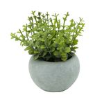 Vaso-Concreto-Oregano-Verde-15x15x145cm