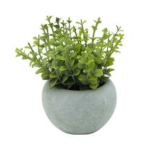 Vaso Concreto Orégano Verde 15x15x14,5cm