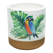 Vaso De Cerâmica Decorativo Parrot Colorido 16,5x17,5cm