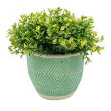 Vaso Modern Design Em Concreto Verde 14x12cm