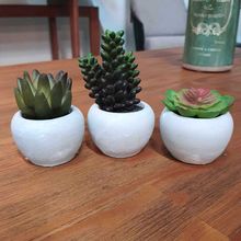 Mini Vaso De Concreto Com Suculenta Lucidium