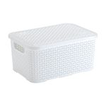 Caixa-Organizadora-Rattan-Com-Tampa-Vime-Branco-7-litros-Issam