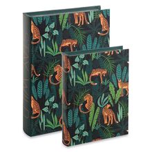 KIT COM LIVROS CAIXA STAY WILD 2 PEÇAS