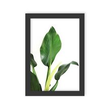 Quadro ´Folhagem Verde´ Moldura Preta Tamanho A3