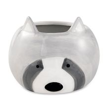 Cachepot Guaxinim Em Cerâmica 12176