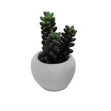 Mini Vaso De Concreto Com Suculenta Gollum