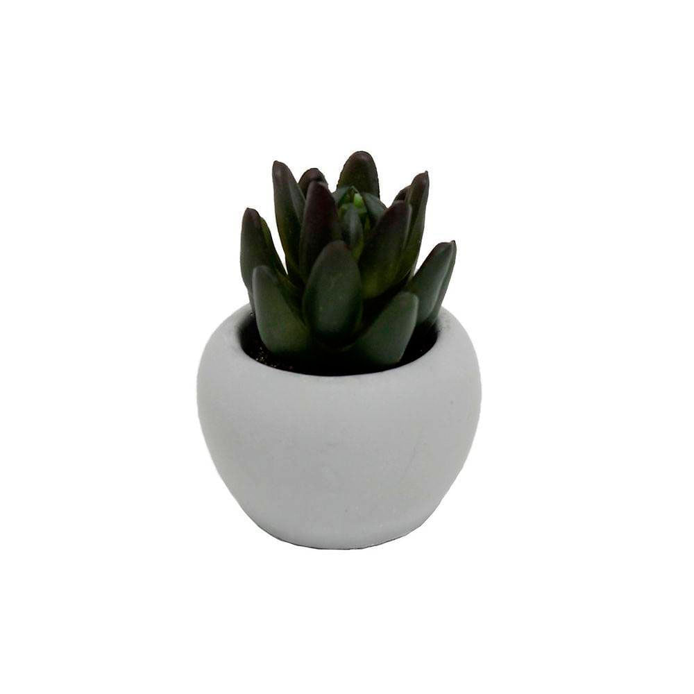 Mini Vaso De Concreto Com Suculenta Lucidium