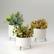 Conjunto De Cachepots Lille Alpaca 3 Peças