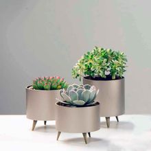 Conjunto Cachepots Lille Bege Champagne 3 Peças