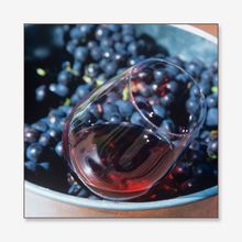 QUADRO WINES COLLECTION B