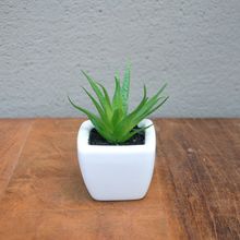 Cacto Com Vaso De Louça 7,5cm