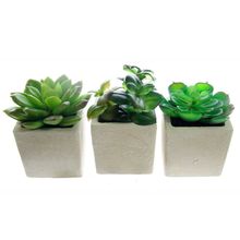 Conjunto Com 3 Vasos Decorativos Em Cerâmica Suculent Flowers